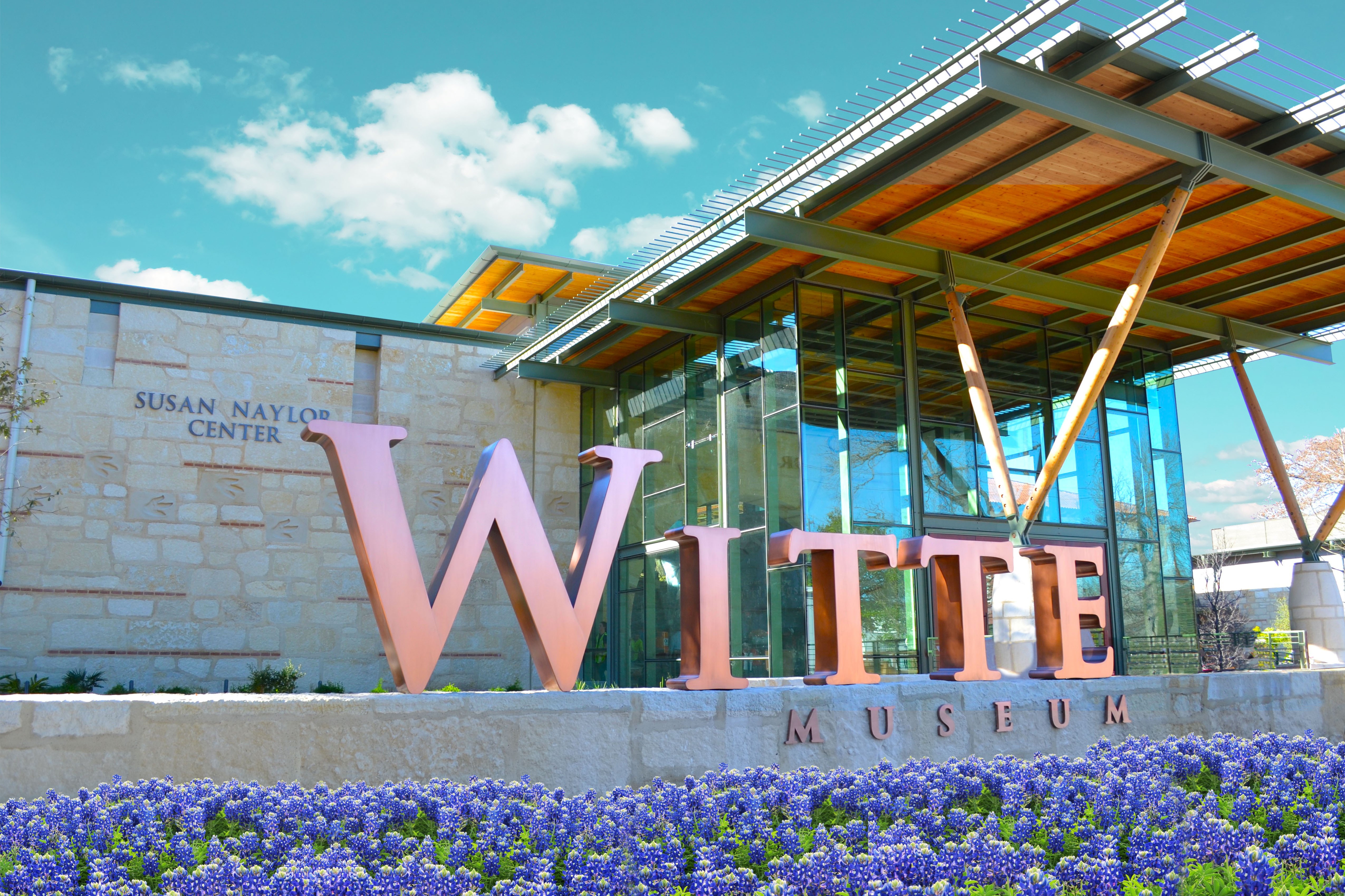 The front of the Witte Museum with bluebonnets blooming on the lawn