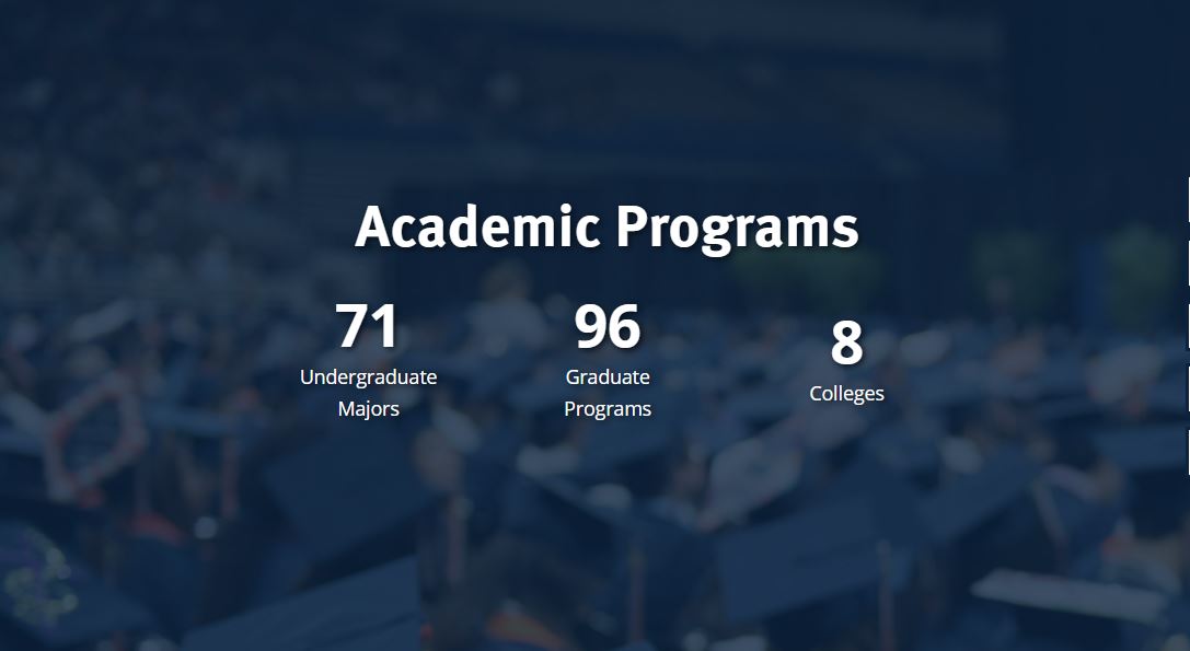 academic-programs-blue.jpg
